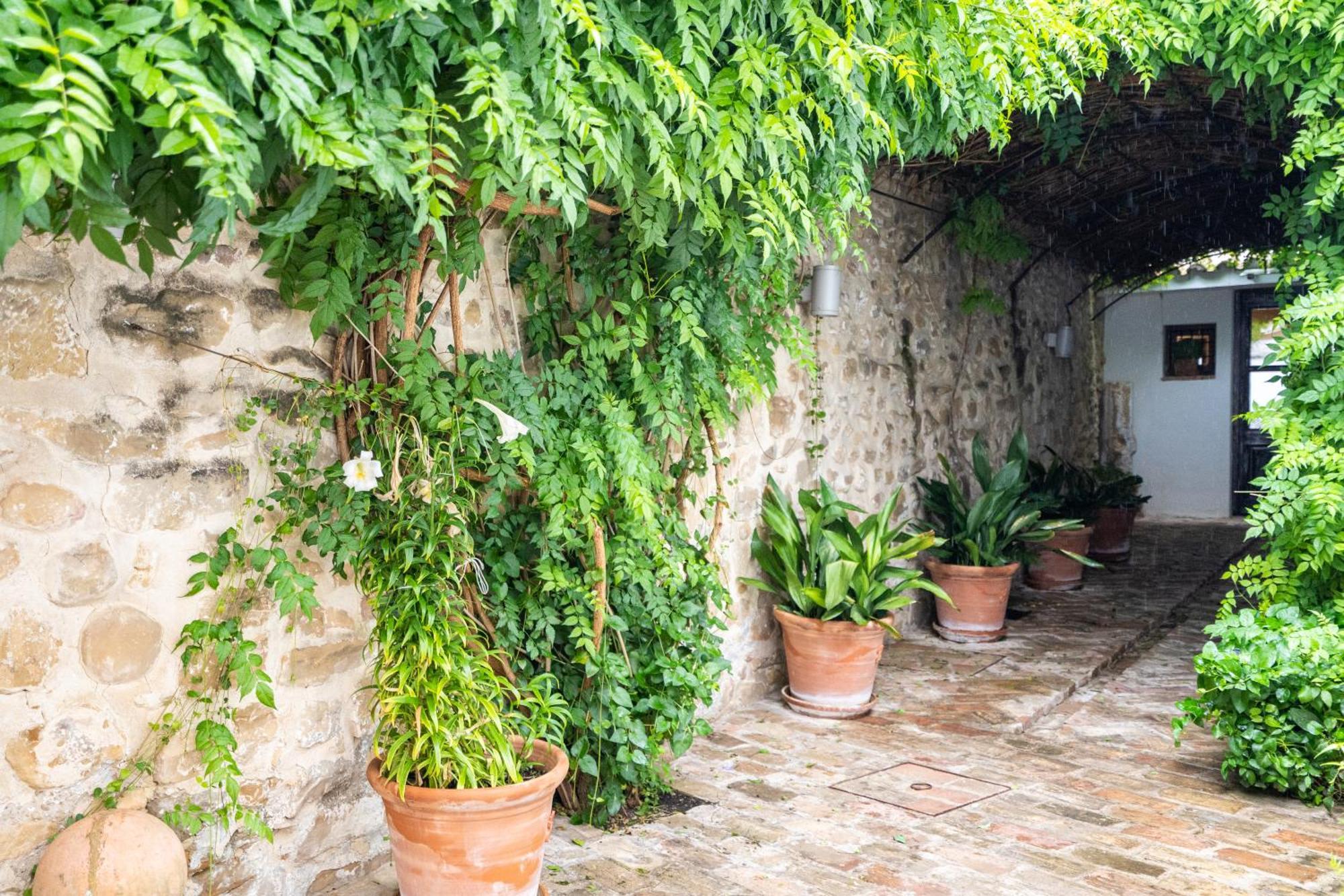 Hotel Yit La Casona Del Arco Baeza Exterior foto